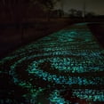 thumbnail image 3 of 200pcs Glow In Dark Pebbles Stone Home Garden Walkway Aquarium Fish Tank, 3 of 5