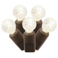 thumbnail image 1 of LED Brown Wire G12 End Connecting 25 ft. Long Light Set with Warm White Lights, 1 of 1