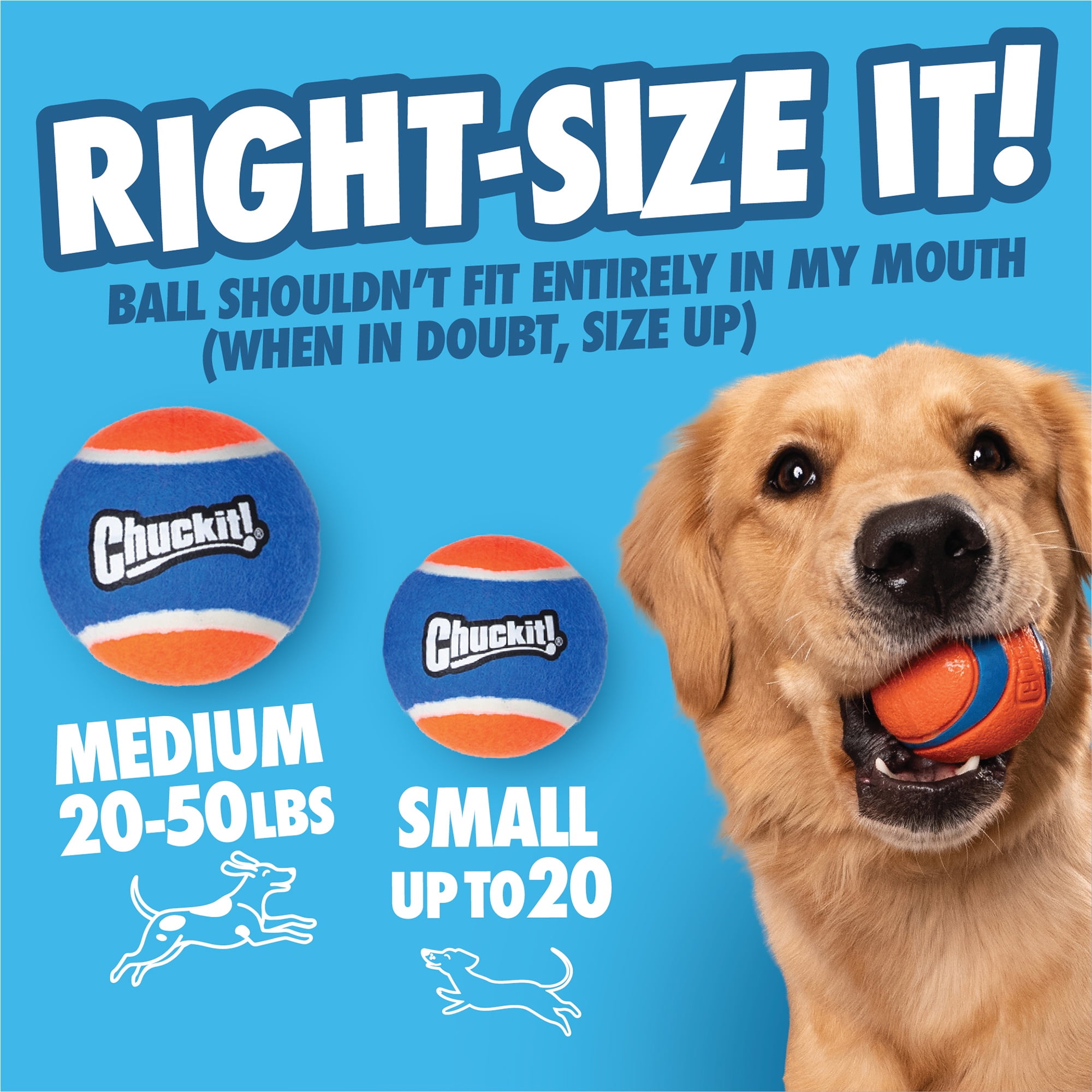 Chuckit! Max Cannon 24M Dog Ball Launcher Fetch Toy for Dogs, 24" Long Compatible with Medium 2.5" Balls, 2 Balls Included
