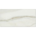 Calacatta (Italian Calcutta) Marble 3 X 6 Subway Field Tile, Honed