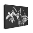 thumbnail image 3 of Stupell Industries Snow Drops Flower Photography Botanical & Floral Photography Gallery Wrapped Canvas Print Wall Art, 3 of 5