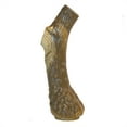 thumbnail image 6 of Nylabone Power Chew Antler Alternative Dog Chew Toy Venison Large (1 Count), 6 of 12