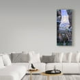 thumbnail image 3 of Trademark Fine Art 'Goat Country' Canvas Art by Allen Jimmerson, 3 of 3