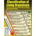 thumbnail image 3 of McDonald Publishing Living Organisms Posters, Set of 4, 3 of 6