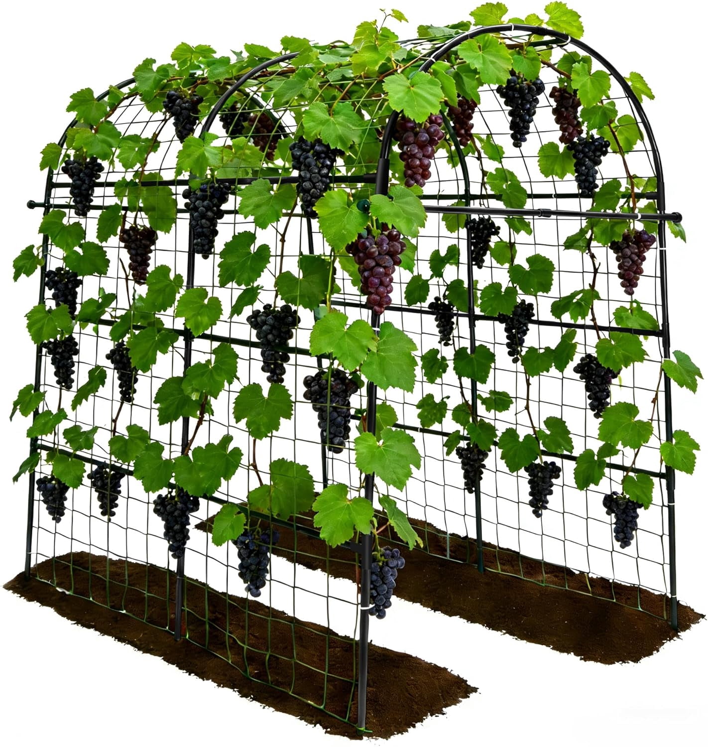 Garden Arch Trellis for Climbing Plants Outdoor - 83" H*71" W*43" L Large Rustproof Garden Trellis, Heavy Duty Grape Trellis, Tunnel Trellis for Melons, Pumpkins, Cucumbers, Peas(Black)
