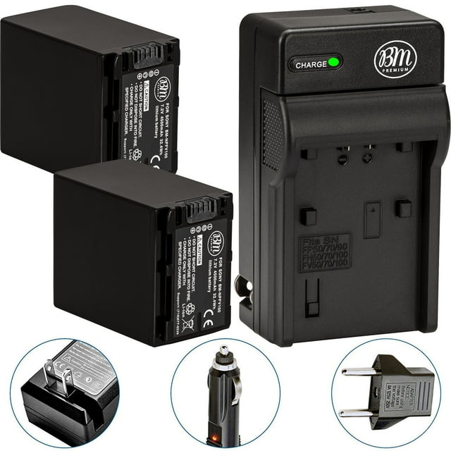 BM Premium 2 Pack of NPFV100 Batteries and Battery Charger for Sony