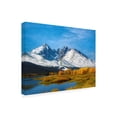 thumbnail image 2 of Ata Alishahi 'Winterfall' Canvas Art, 2 of 3