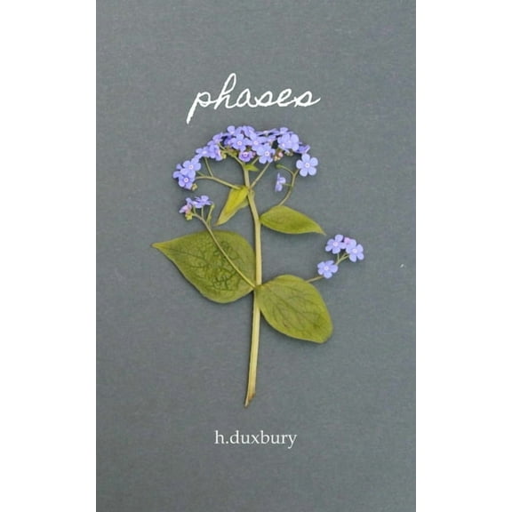 phases: poems and musings, (Paperback)