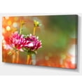 thumbnail image 2 of Pink Flowers on Blurred Background - Large Flower Canvas Wall Art, 2 of 3