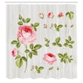 thumbnail image 3 of Ambesonne Floral Shower Curtain, Vintage Rose Petals Leaf, 69"Wx70"L, Pale Pink Khaki, 3 of 5