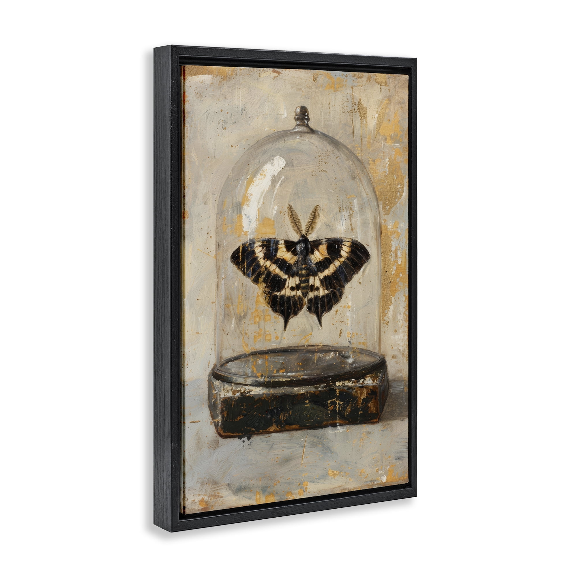 Stupell Industries Rustic Moth in Glass Animals Painting Black Floater Framed Canvas Art Print Wall Art, 17 x 25