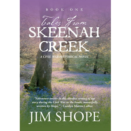 Tales from Skeenah Creek : A Civil War Historical Fiction (Best Historical Fiction Series)