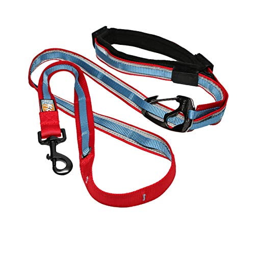 Kurgo 6 in 1 Hands Free Dog Leash Reflective Running Belt Leash for
