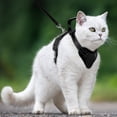 thumbnail image 3 of Cat Harness and Leash Set Escape Proof for Kitten Walking, Soft Adjustable Top Handle Vest Harnesses for Cats, Easy Control Breathable Reflective Small Medium Large, Black, XS, 3 of 10