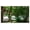 Green, variant on Fridja Outdoor Camping Portable Hammocks Comfortable Hanging Nylon Mesh Rope Hammocks