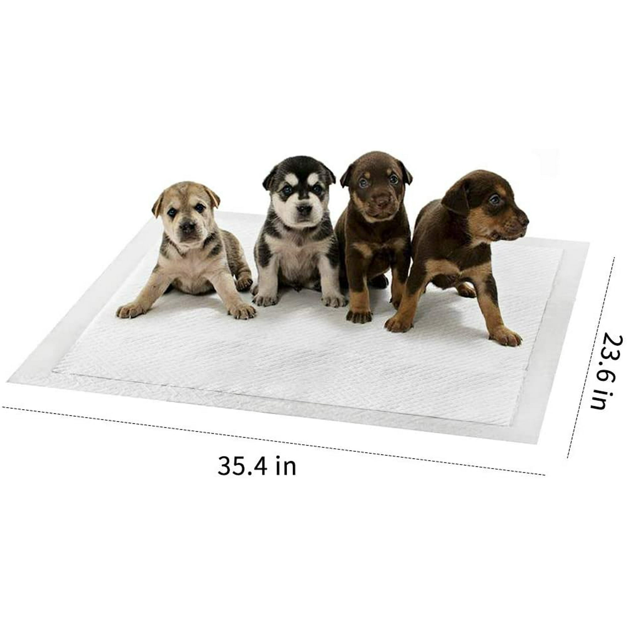 Dog pee box hot sale