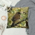 thumbnail image 2 of GOSMITH Throw Pillow Cover - Ashy Crowned Sparrow Lark Sparrow Bird, 2 of 5