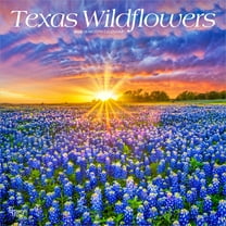 Texas Wildflowers 2026 12x24" (Hanging) Wall Calendar | Plastic-Free | BrownTrout