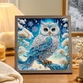 thumbnail image 5 of Animal Wall Art Owl Diamond Art Kit for Adults Full Drill 5D Diamond Painting for Adults Fantasy Gem Art for Adults Craft Kit for Home Wall Decor, 5 of 8