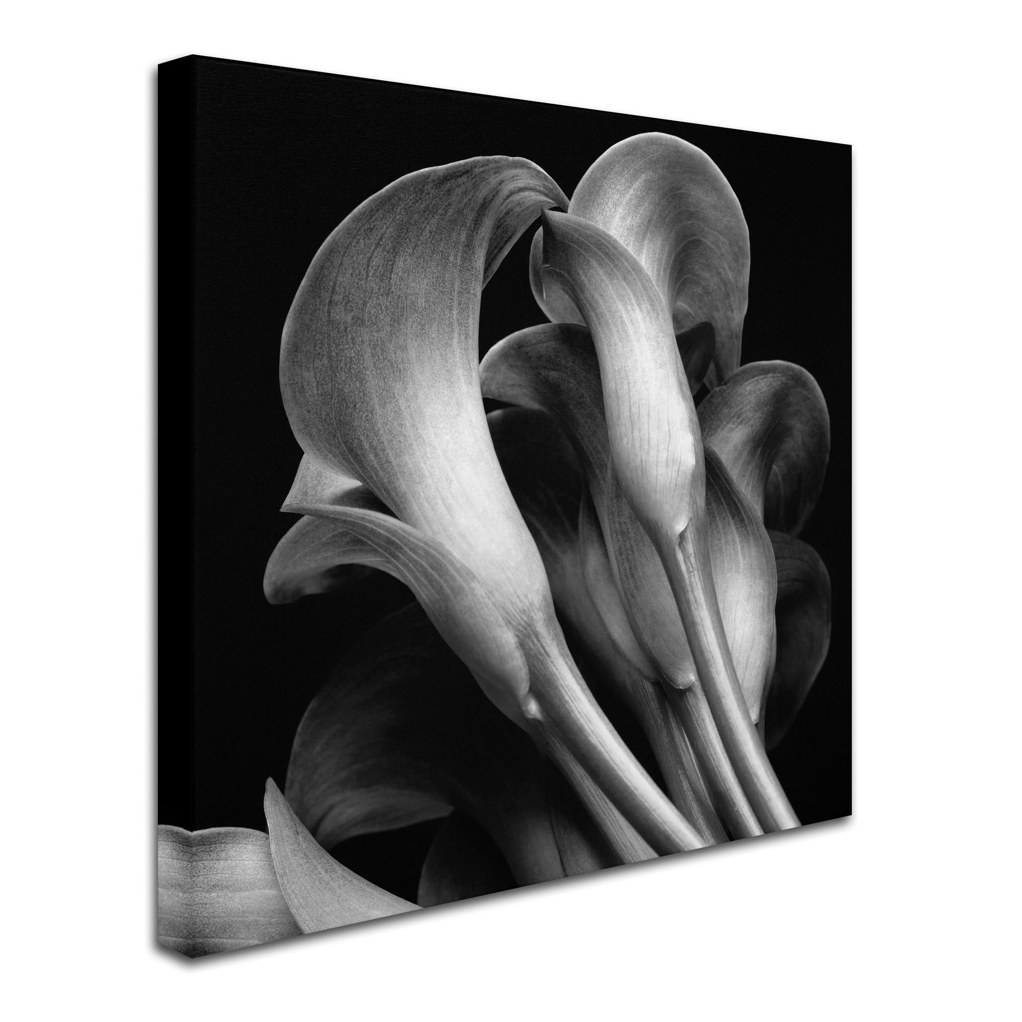 24x24 Gallery Wrapped Canvas Art