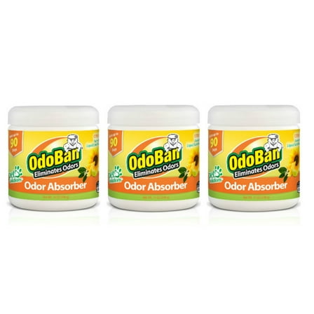 OdoBan Solid Odor Absorber for Home and Small Spaces, Citrus Scent, 14 oz, 3-Pack