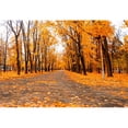 thumbnail image 3 of SUNOLIFE Fall Backdrop Banner Autumn Nature Landscape Background Decorations 10x8ft, 3 of 3