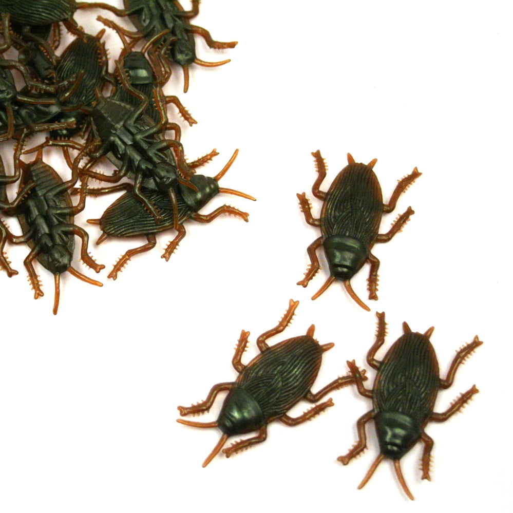 plastic toy cockroaches