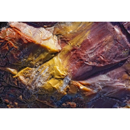 Close Up Of Petrified Wood Petrified Forest National Park Utah Canvas Art - Robert Postma Design Pics (34 x 22)