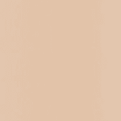 N2 Neutral Light