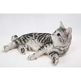 thumbnail image 6 of Hi-Line Gifts 17.5" American Short Hair Cat Lying Down Outdoor Garden Statue, 6 of 6
