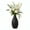Black, variant on Moana Abstract Line Ceramic Vases