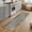 Gray Blue Light Brown, variant on Small Door Mat Indoor Outdoor 15.7"x23.6", Bathroom Frog Absorbent Non Slip Entry Rug, Toilet Animals Vintage Low Profile Welcome Mat for Front/Side Door Apartment Entrance Bathroom
