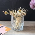 thumbnail image 1 of 100Pcs Fruit Fork Creative Disposable Cartoon Hamburger Pattern Food Bamboo Stick Home Supply, 1 of 7