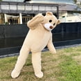 thumbnail image 4 of Nuevo disfraz de mascota oso bailarín, divertido disfraz de muñeca de dibujos animados para caminar en el bar, tocado, oso de peluche, cosplay, fiesta de carnaval, espectáculos, utilería, 4 of 5