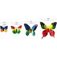 thumbnail image 5 of 3D Butterflies Wall Decor 24 Pcs–Removable Decorative Wall Decals for Living Room,Birthday&Party,Home Decoration, 5 of 7