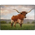 thumbnail image 2 of Coolnut Longhorn at Sunset Lightweight Area Rugs Carpet Mats Floor Rug Home Decor for Kids Room Living Room, 63"x 48", 2 of 6