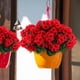 thumbnail image 5 of Flores artificiales de geranio Hananona para exteriores resistentes a los rayos UV, 5 of 8