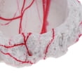 thumbnail image 4 of 2x Pet Vivarium Terrarium Ornament e Resin Comida Agua Plato Plato Yuyangstore Plato de agua de comida para reptiles, 4 of 8