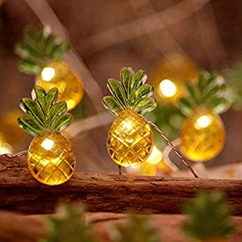 Enclosed Outdoor Room Ideas Pineapple Themed String Lights for Decorating Ideas, 10ft 40LEDs Flexible Wire with Remote and Battery/USB Powered 8 Flicker Modes for Living Room, Summer, Fall Parties, Bedroom Ornerments ()
