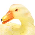 thumbnail image 3 of Resin Duck Statue Simulation Duck Ornament Model Decoration for Outdoor Garden YardYellow, 3 of 4