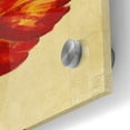 thumbnail image 2 of Epic Art 'Parrot Tulip II' by Tim O'Toole, Acrylic Glass Wall Art, 24"x24", 2 of 5
