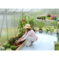 thumbnail image 6 of Palram - Canopia Essence 8' x 16' - Polycarbonate/Aluminum Walk-In Greenhouse - Silver - with 3 Roof Vents, 6 of 10