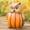thumbnail image 3 of Estatua de cuerpo de calabaza de cabeza de Animal cuidadosamente elaborada creativa robusta y para regalo Hugtrwg Para estrenar, 3 of 8