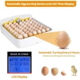 thumbnail image 4 of Incubadora de 56 huevos completamente automática Incubadora digital transparente Incubadora de huevos con pantalla LED de temperatura y control de humedad Adecuado para pavo/ganso/pájaro/codorniz/pollo Vhermosa BST3069437, 4 of 5