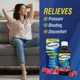 thumbnail image 6 of Kaopectate Extra Strength Gas and Indigestion Relief Liquid, Mixed Berry, Simethicone 125 mg, 8 oz, 6 of 8