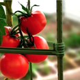 thumbnail image 3 of Mesase Stake Arms 11.8 Inches Plastic Expandable Trellis Connectors Tomato Cage 24 Pcs, 3 of 8