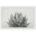 thumbnail image 2 of Agave Ii Framed Painting Art Print, 18.00" x 1.50", 2 of 6