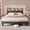Queen-Dark Gray, variant on Asofer Full Upholstered Platform Bed, RGB LED Light & Multi Charging Ports, 2-Tier Storage Headboard, Heavy Duty Bed Base No Box Spring Required, Beige