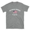thumbnail image 1 of Defuniak Springs Florida Patriot Men's Cotton T-Shirt, 1 of 1