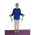 thumbnail image 3 of BodyForge Eco-Friendly Tube Resistance Exercise Bands Set…, 3 of 3